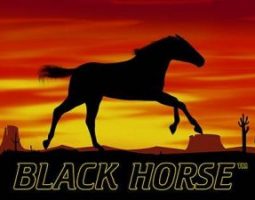 Black Horse Automat