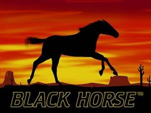 Black Horse Automat