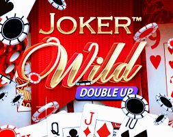 Joker Wild online za darmo