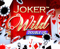 Joker Wild online za darmo