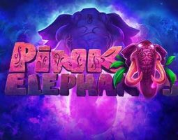 Pink Elephants online za darmo