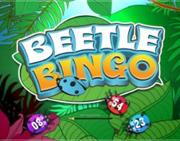 Beetle Bingo online za darmo
