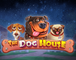 Dog House slot online za darmo