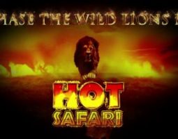 Hot Safari Online Za Darmo