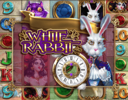 White Rabbit online za darmo